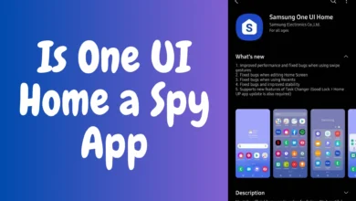 Is One UI Home a Spy App