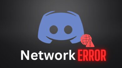 Discord Temporary Network Error